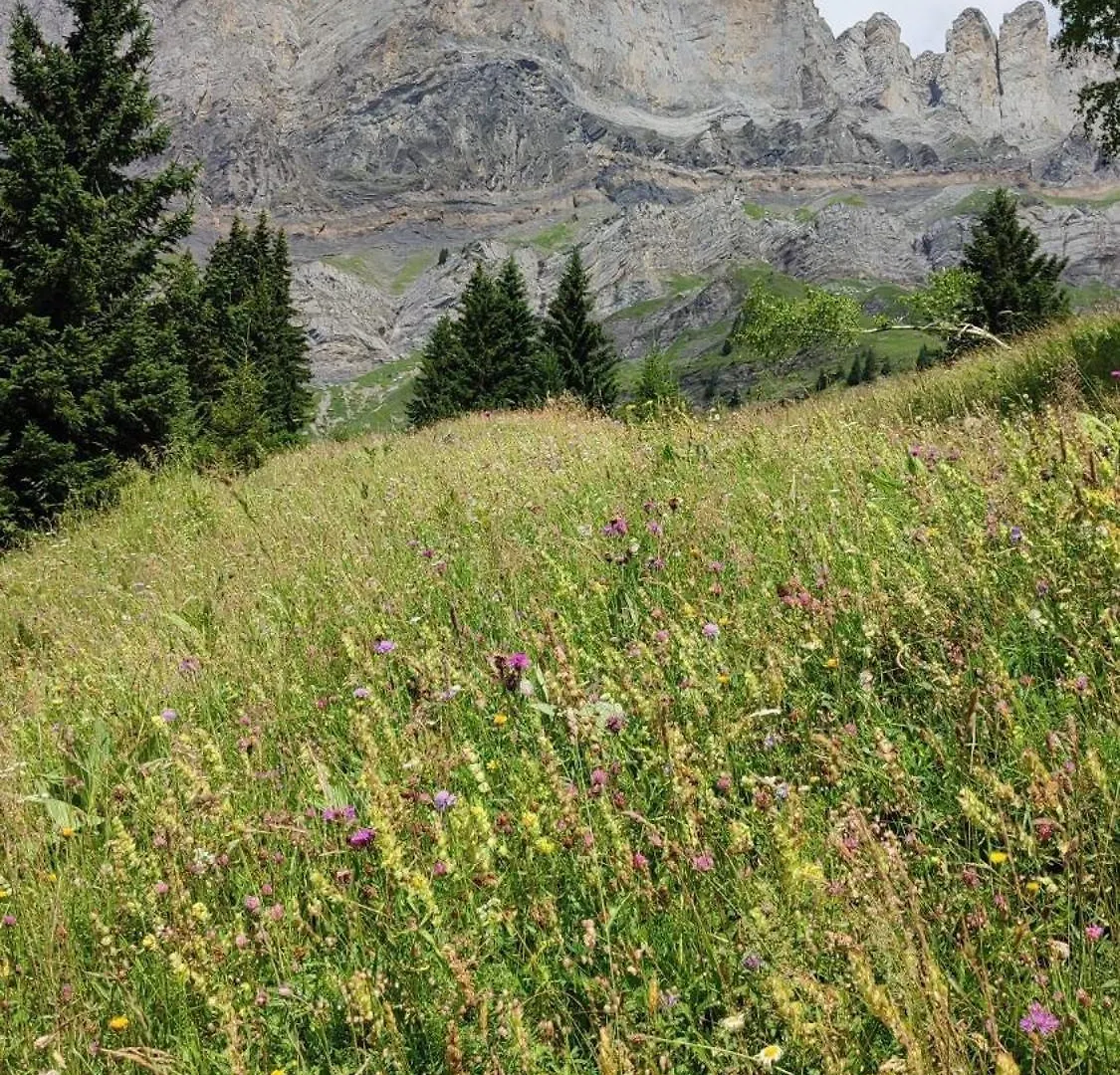 Gite Les Aravis Passy  Passy (Haute-Savoie)